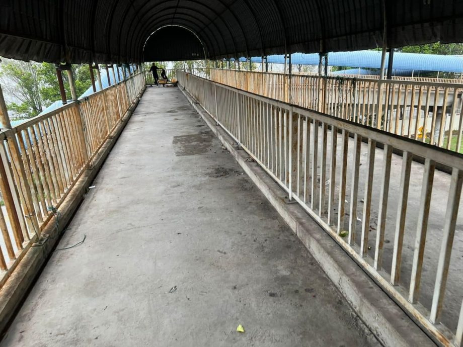 难民放床垫毛巾霸占居住 MBSJ:行人天桥已被清空