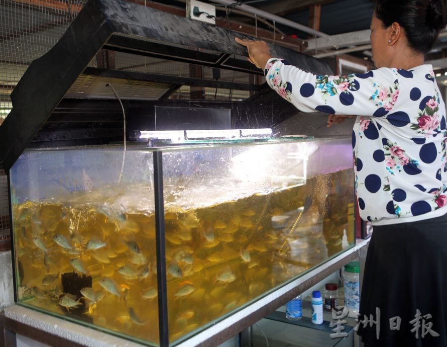 霹渔业局突检观赏鱼单位 充公49禁鱼 值8300