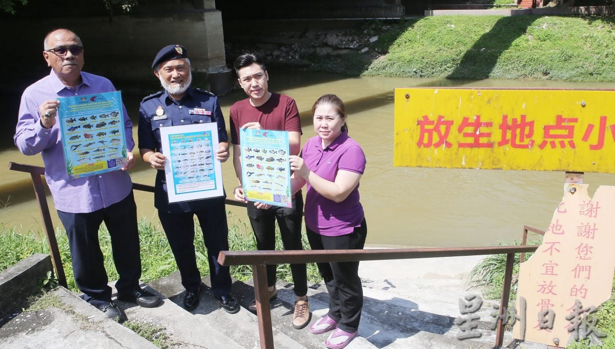 霹渔业局突检观赏鱼单位 充公49禁鱼 值8300