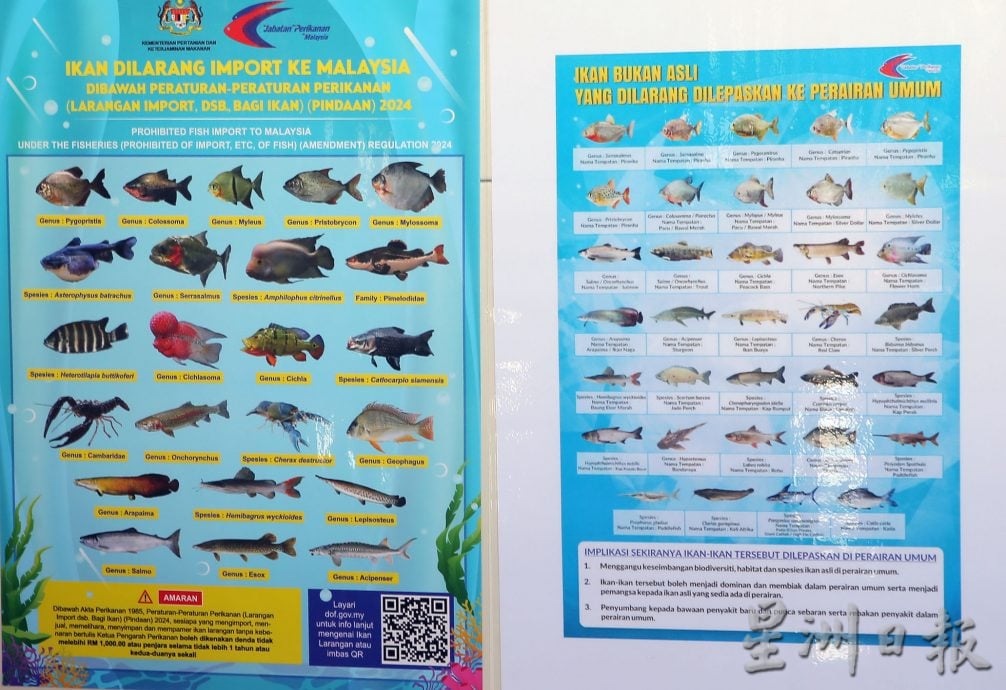 霹渔业局突检观赏鱼单位 充公49禁鱼 值8300