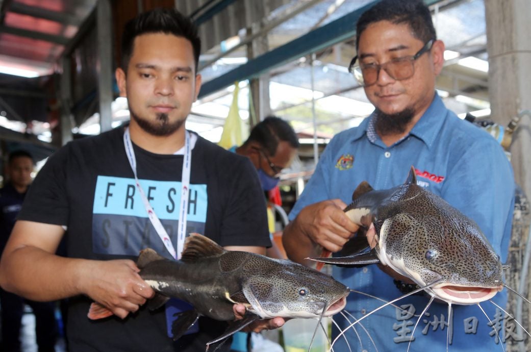 霹渔业局突检观赏鱼单位 充公49禁鱼 值8300