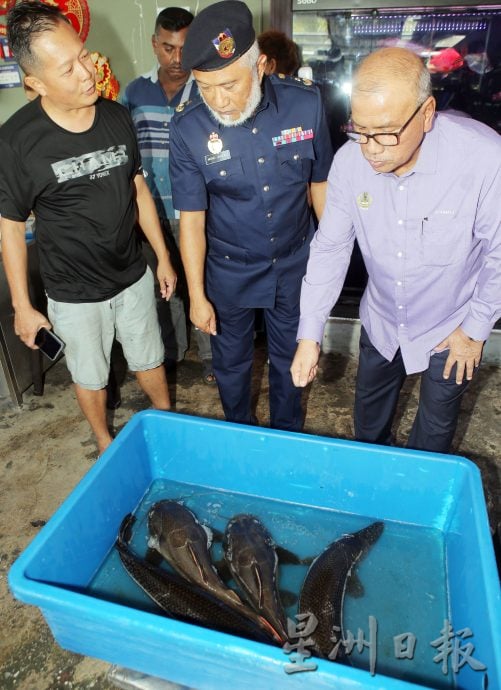 霹渔业局突检观赏鱼单位 充公49禁鱼 值8300