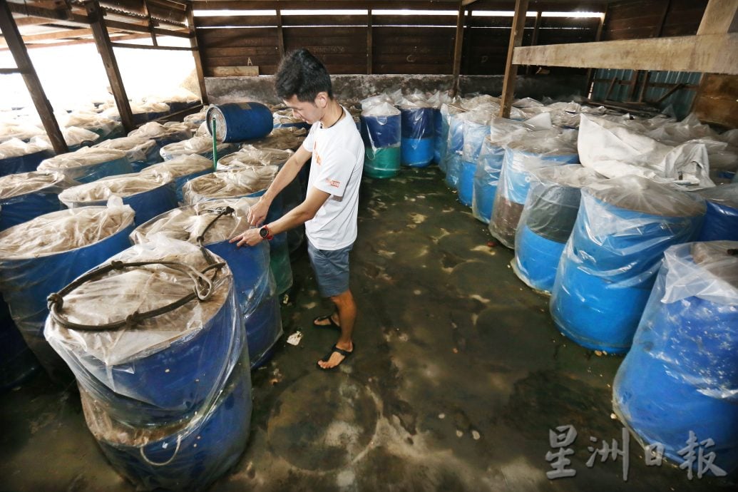 霹:9日见报/封底主文/它的诞生︱峇拉煎
