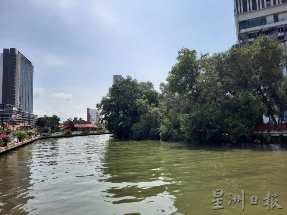 (古城封面副文)鳄鱼攻击四脚蛇