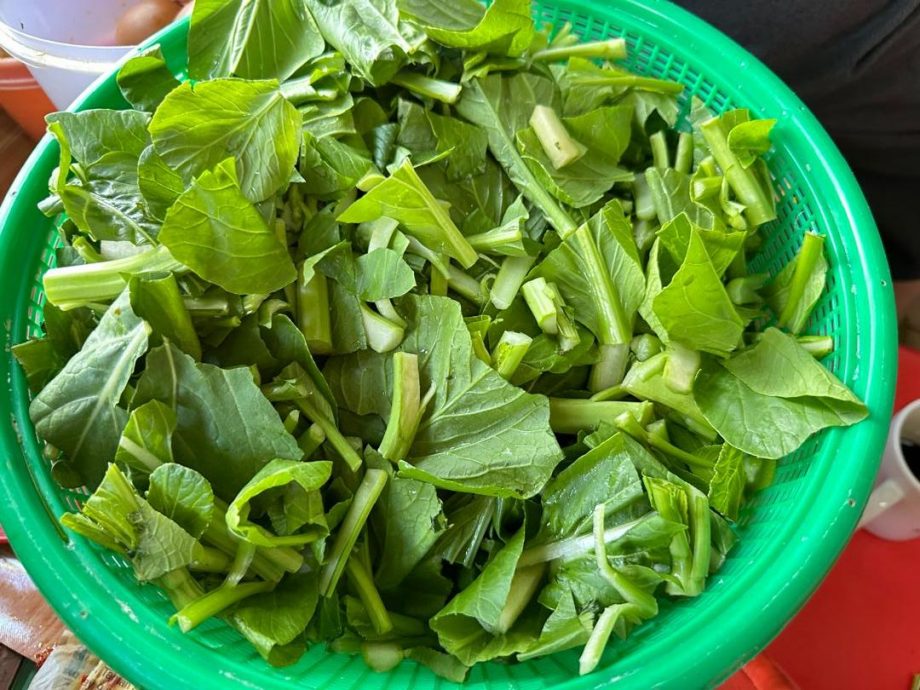 (古城第二版主文)议员好介绍-陈劲源(菜心饭)