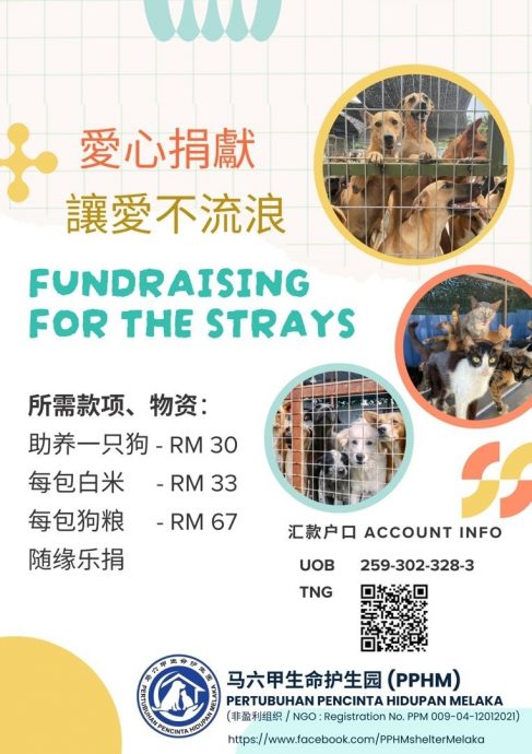 （古城第六版主文）甲生命护生园发动爱心捐献·冀望让爱不流浪