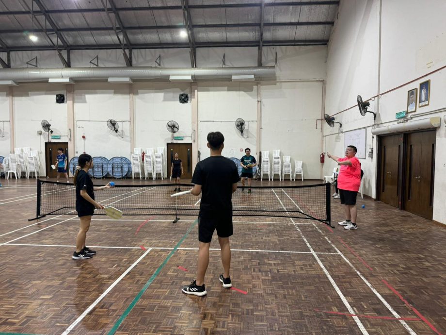 (大北马)匹克球热潮席卷大马 羽球场也打匹克球