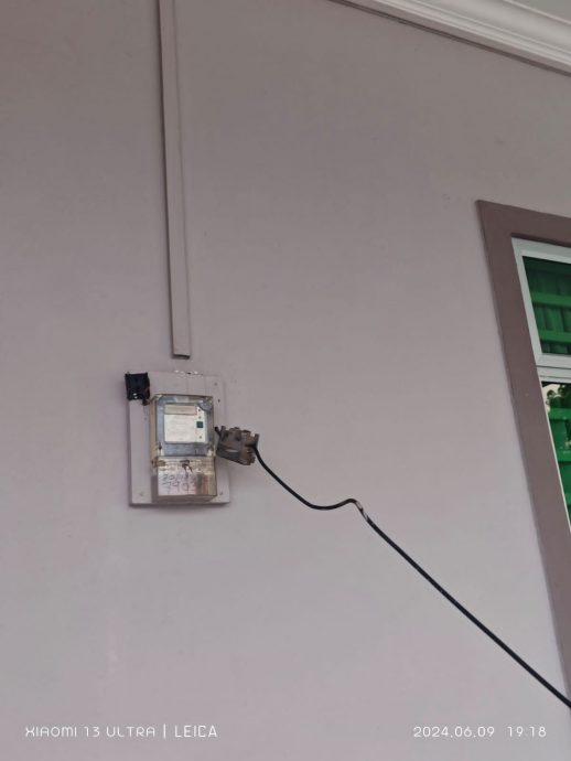 有主地段无人打理 茂密树林成为动物蚊虫天堂