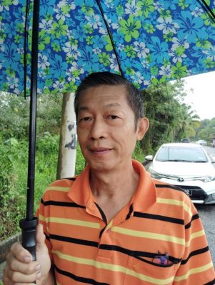 有主地段无人打理 茂密树林成为动物蚊虫天堂
