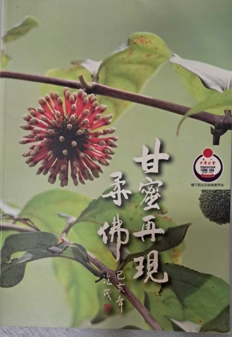 (已签发)柔:新旧对照:重现甘蜜史,任重道远!