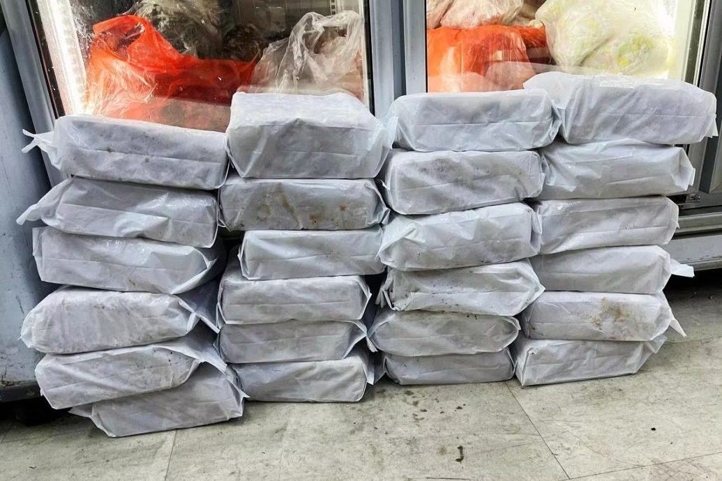 (已签发)柔:狮城二三事:非法进口逾300公斤食品 4商家被查