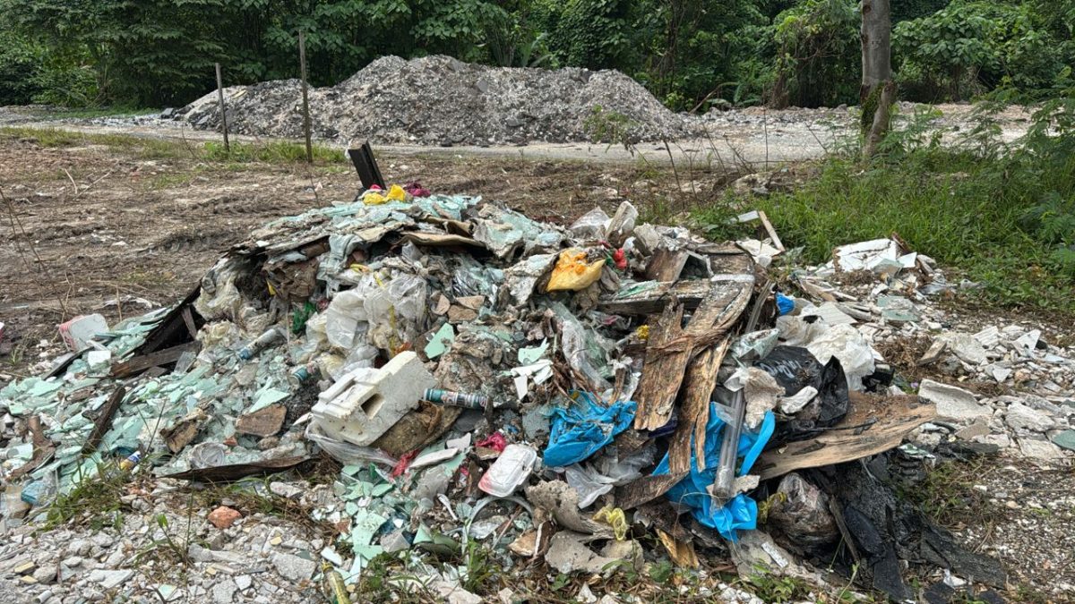 (版3头)大都会/赖俊权:非法垃圾丢弃活动被抓现行/5图