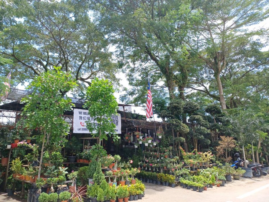 (版4头)大都会/陈祥国:没有霸占皇冠城第8区的休闲公园作为花圃的用途