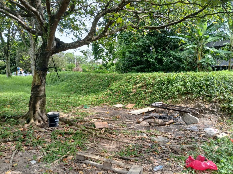 (版4头)大都会/陈祥国:没有霸占皇冠城第8区的休闲公园作为花圃的用途