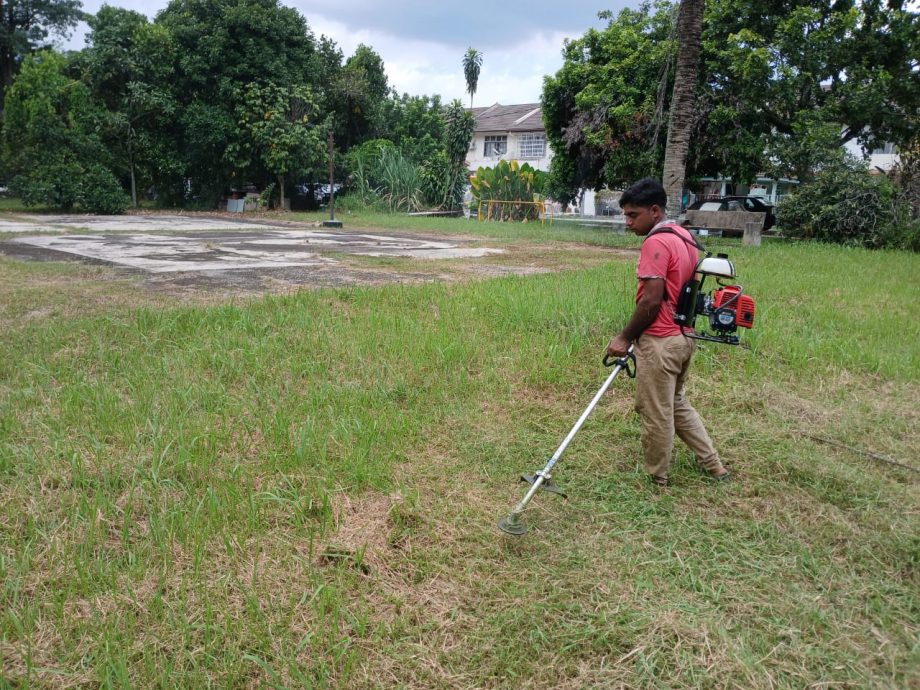 (版4头)大都会/陈祥国:没有霸占皇冠城第8区的休闲公园作为花圃的用途