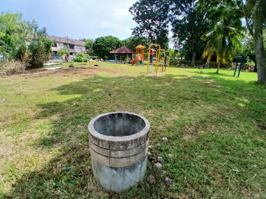 (版4头)大都会/陈祥国:没有霸占皇冠城第8区的休闲公园作为花圃的用途