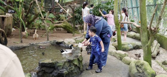 周刊：孩子旅行的意义（三）-NEP1_20241127_C00457886214