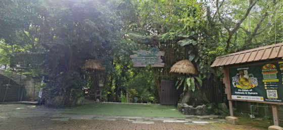 周刊：孩子旅行的意义（三）-NEP1_20241127_C00457886217