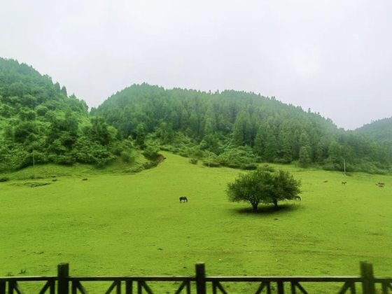 【中国】走进魔幻山城,领略重庆气势磅礴的大江大山