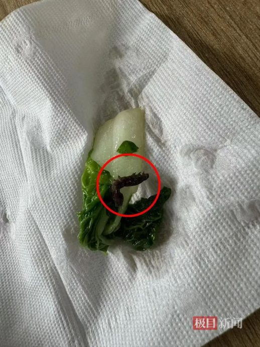 上海名校食堂月费逾RM850 饭菜竟有蜗牛虫尸!