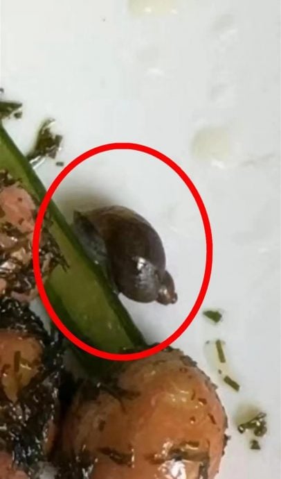 上海名校食堂月费逾RM850 饭菜竟有蜗牛虫尸!