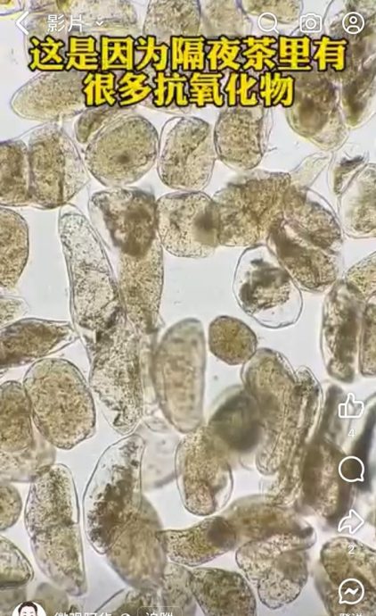 专家:亚硝酸盐含量极低 “隔夜茶比蛇毒”误导