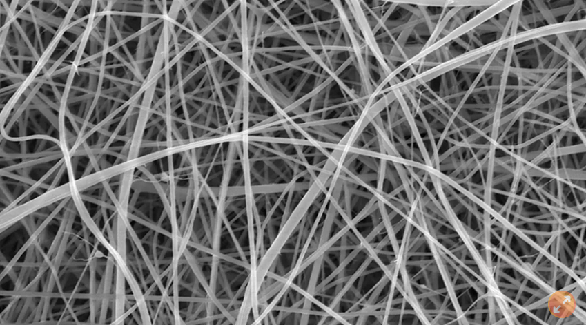 世界最细的意大利面条诞生 你猜煮几秒就熟了?