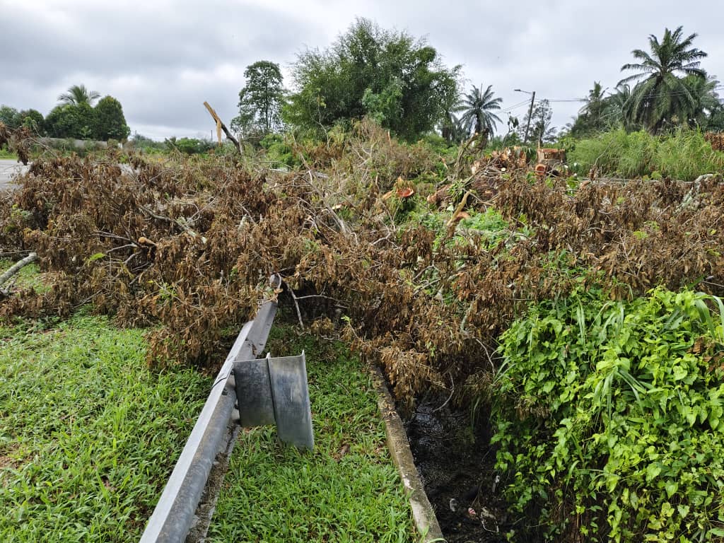 东:县议会在搞什么