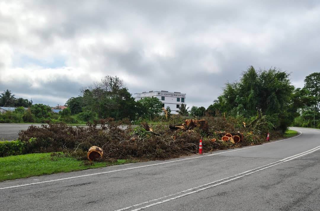 东:县议会在搞什么