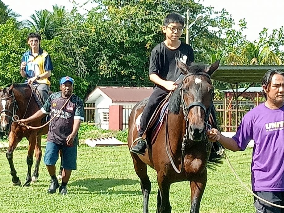 丹那依淡华小义卖会 超越目标筹获逾10万