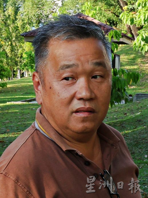 供星洲网/芙蓉百岁老橡胶树,身价75万