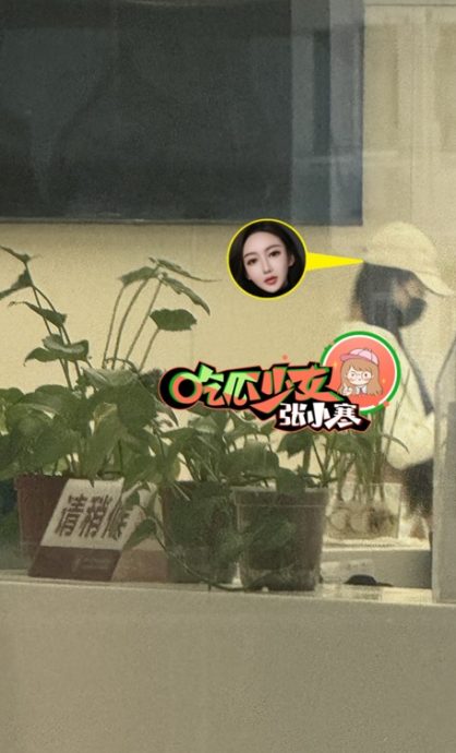 叶珂孤伶伶产检被拍 黄晓明不见踪影真分了?