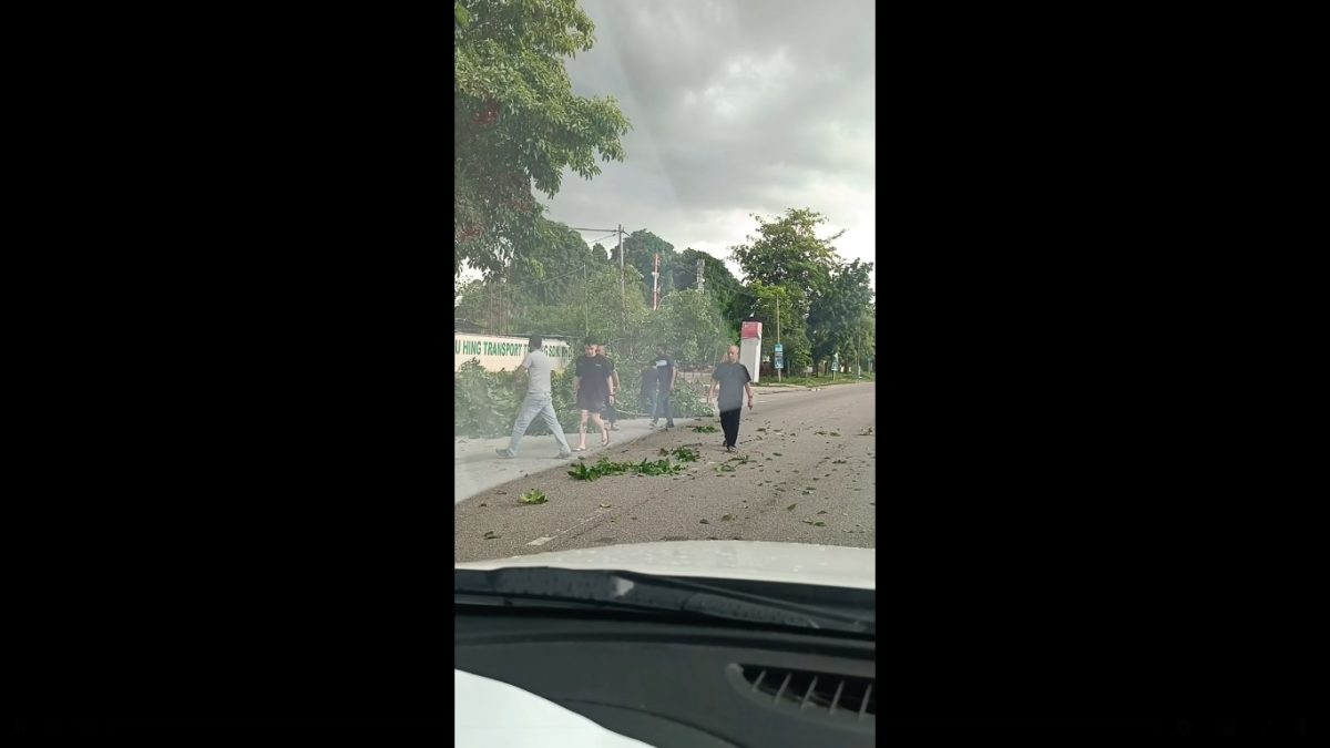 各族人民同心协力搬动倒下树桠 网赞:真正马来西亚精神