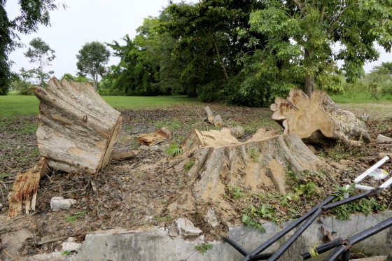 Fkwyq1124 02 Fz100257577850