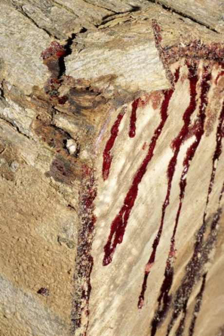 Fkwyq1124 03 Fz100257577851