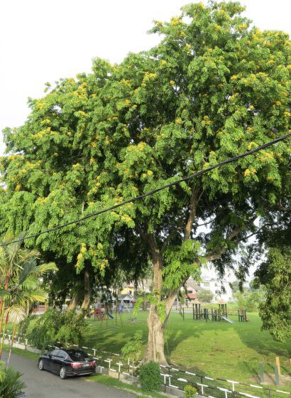 Fkwyq1124 01 Fz100257577849