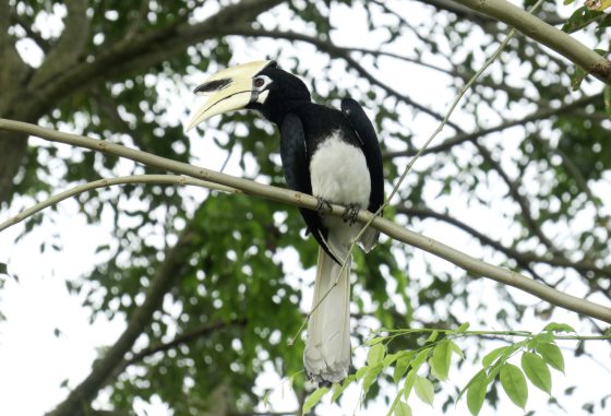 Fkwyq1124 06 Fz100257577853