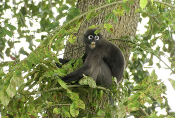 Fkwyq1124 05 Fz100257577854