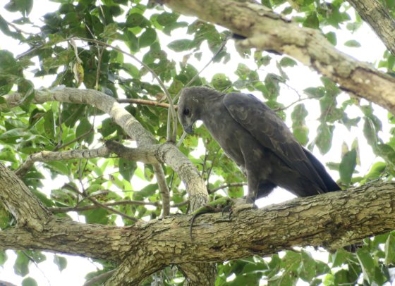 Fkwyq1124 04 Fz100257577852