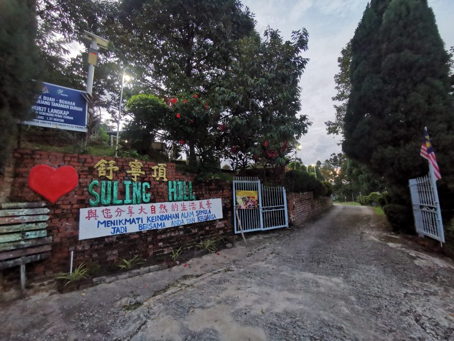 (大北马)舒宁顶山脚地段将被打造成北部科技谷工业园,游客仍可继续到访舒宁顶