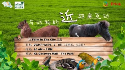星洲人Fun转567 邀亲子与动物互动
