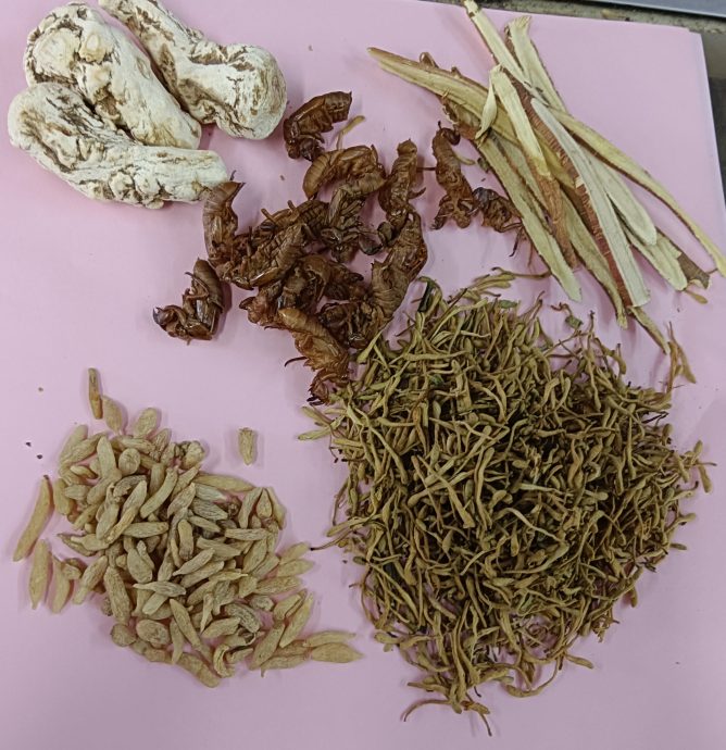 天气忽冷忽热凉茶好卖 业者:中草药价格平稳
