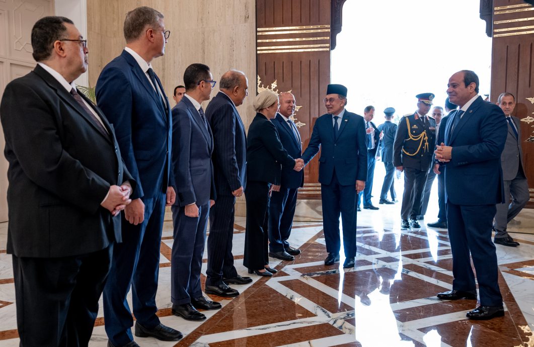 安华会晤塞西 加强马埃多领域战略合作