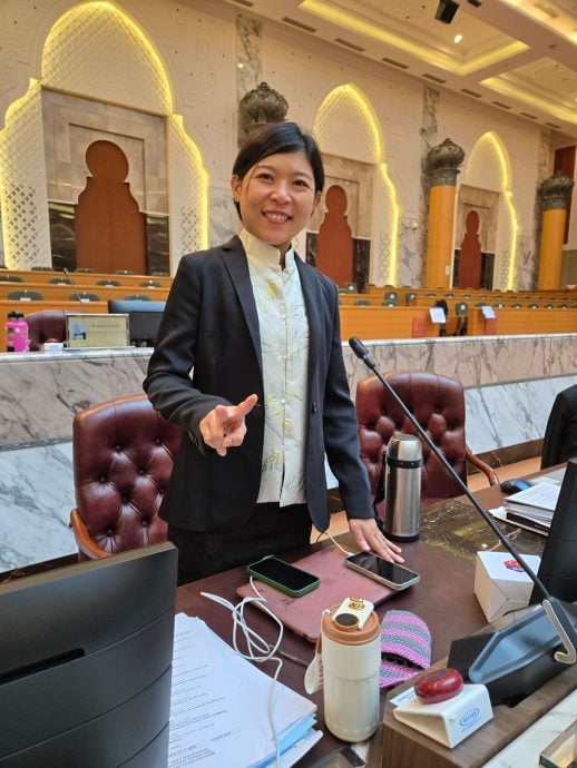 *已签发* 柔:州议会(下半场)4文1:为柔旅游年准备之余 黄炣卿:勿忽略乐龄和残友游客