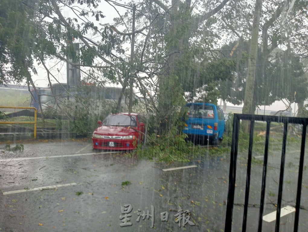 **已签发**柔:头条之一:【民生特工队】:暴风雨树倒砸车频传 ,公路使用者促当局定时修剪树木