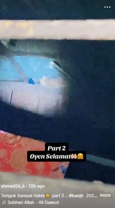 已签发(全国)水灾来袭 猫咪紧抓窗铁避难惹人怜