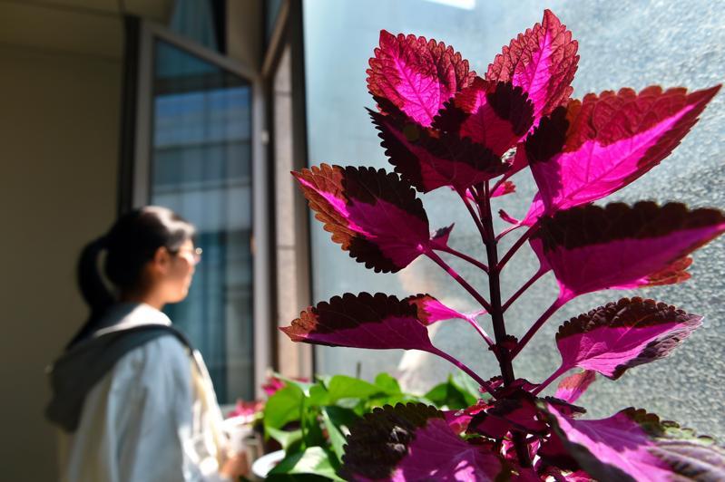 抑郁和婚姻状况有何关系?最新研究称未婚出现症状概率高近80%