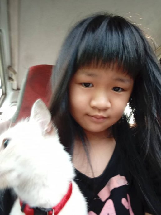 挣扎一周 小凯欣今早不治