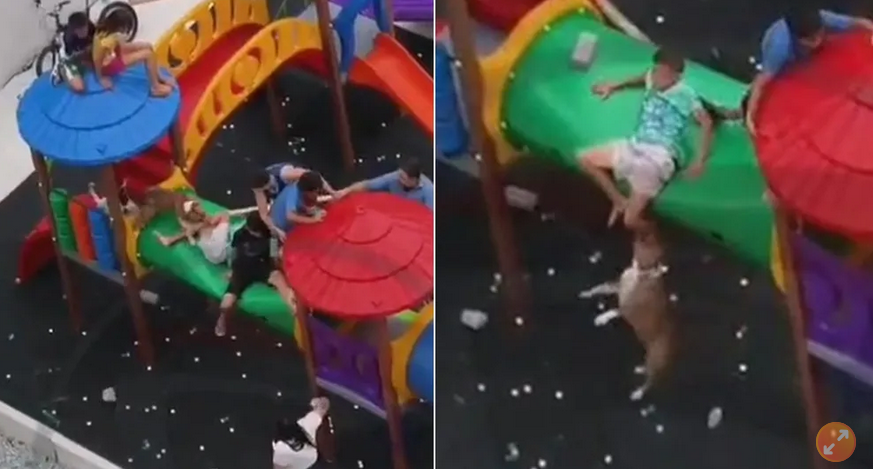 斗牛犬冲儿童游戏区攻击 11岁男童被狂咬重伤