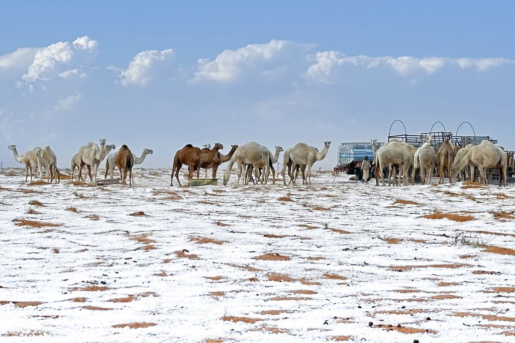 沙地阿拉伯下雪了 乾旱沙漠变银白大地